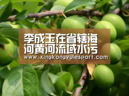 李成玉在省辖海河黄河流域水污染防治工作会议上强调 明确目标 强化责任 扎实推进我省环保工作‘星空娱乐棋牌app’(图1) 星空娱乐官方网站