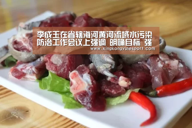 李成玉在省辖海河黄河流域水污染防治工作会议上强调 明确目标 强化责任 扎实推进我省环保工作‘星空娱乐棋牌app’(图2) 星空娱乐